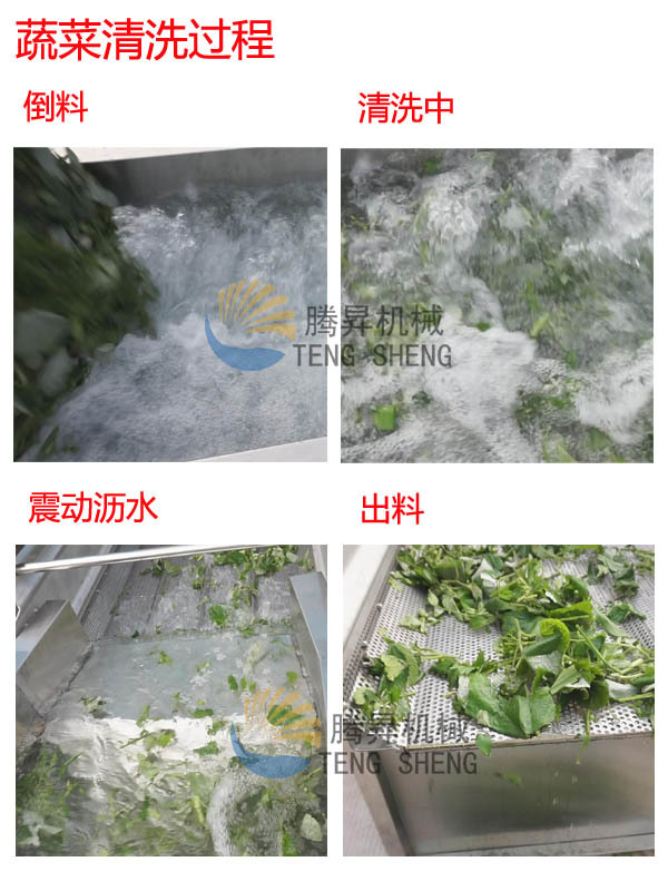 洗菜機(jī) 商用渦流洗菜機(jī) 震動瀝水生產(chǎn)線 蔬菜清洗機(jī) 廠家直銷