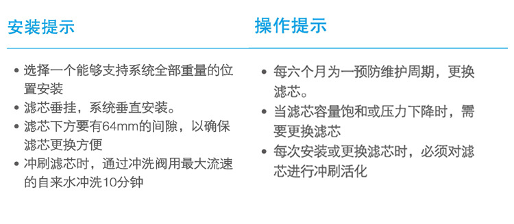 美國進口愛惠浦（Everpure）BH2 雙聯凈水器 過濾系統 商用