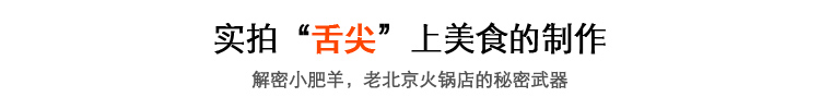 羊肉切片機 手動家用商用切肉機 切肥牛片羊肉卷土豆絲刨肉機