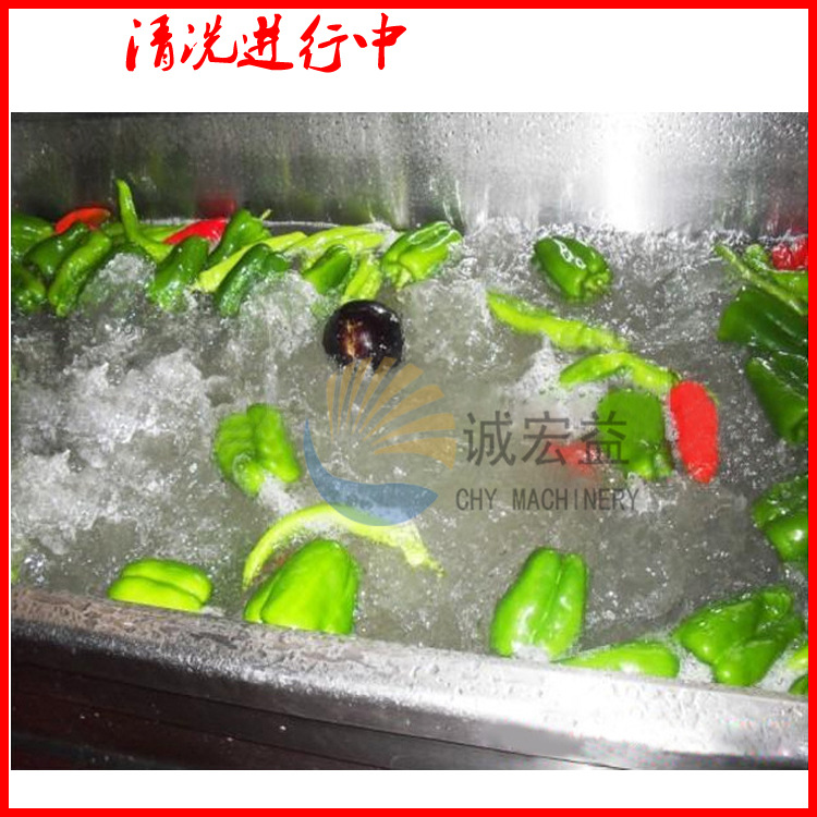 暢銷(xiāo) 商用大型氣泡臭氧洗菜機(jī) 蒜臺(tái)/山芹菜清洗機(jī) 現(xiàn)貨供應(yīng)