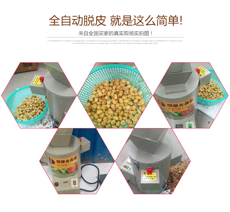 創(chuàng)業(yè)設(shè)備全自動電動商用家用板栗脫皮機(jī)板栗去皮機(jī)炒貨栗子脫殼機(jī)