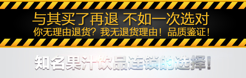 SAVTM/獅威特商用大口徑多功能榨汁機 攪拌果汁機低速原汁機批發