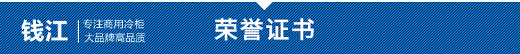 錢江雙門家用小型廚房冰柜 商用不銹鋼單溫冰箱 節能立式冷柜