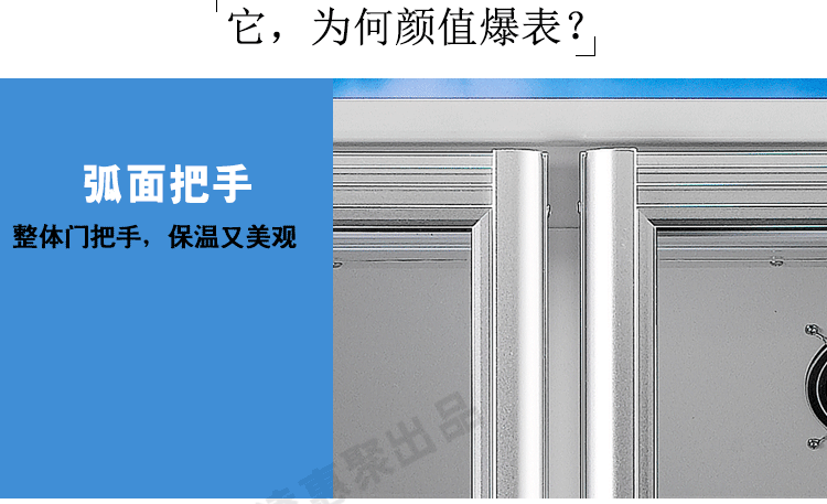 穗凌LG4-482M2F 展示冰柜商用雙門立式風冷冷藏保鮮柜玻璃飲料柜