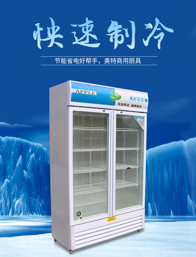 雙門(mén)冷藏保鮮柜立式超市冷飲飲料柜 商用展示柜冷柜冰柜