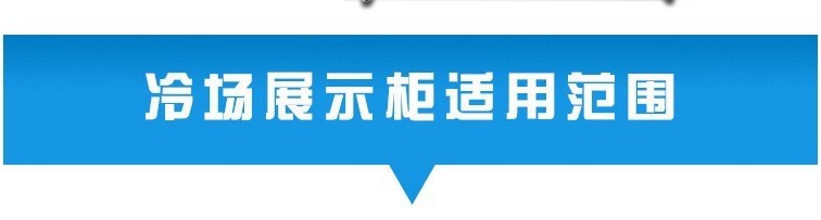 廠家直銷冰柜批發 立式雙門商用冰箱便利店展示柜超市飲料陳列柜