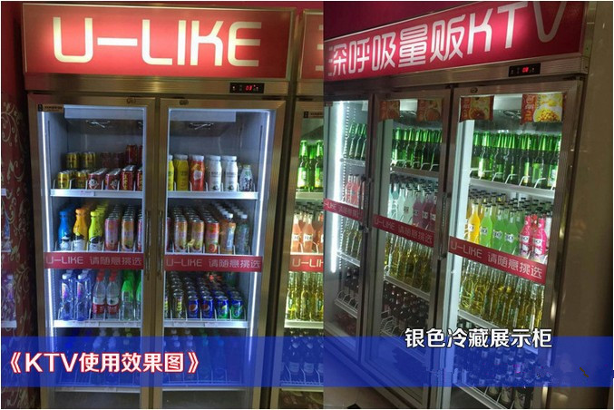 廠家直銷冰柜批發 立式雙門商用冰箱便利店展示柜超市飲料陳列柜