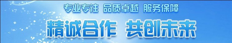 新品商用冰柜冷凍鮮肉餃子包子超市低溫單島臥式島柜保鮮冷藏設(shè)備