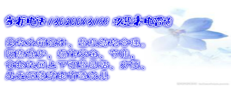 2014 熱款丸美牌商用烤魚(yú)爐 8頭燃?xì)饧t外線面火爐 上火下烤式烤箱