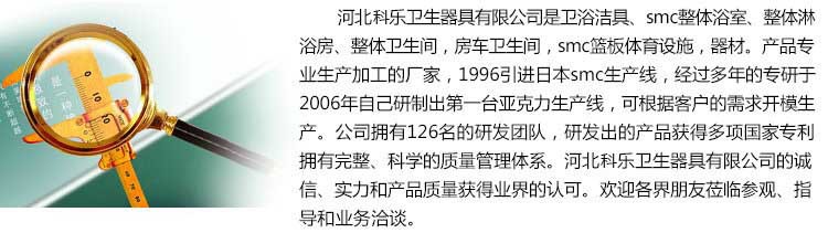 農(nóng)家樂(lè)淋浴房 整體衛(wèi)生間 整體浴室隔斷洗手間賓館酒店專業(yè)衛(wèi)生間