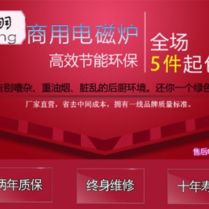 雙眼電磁炒爐 大功率商用爐灶 廠家現貨批發酒店廚房設備炒爐