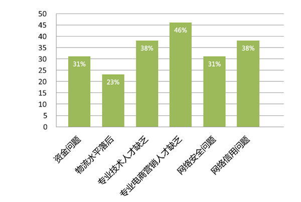 2015年酒店用品企業電子商務狀況大數據解析