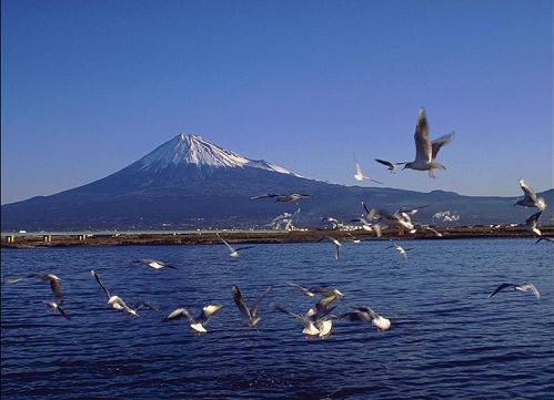 韓國濟(jì)州島美景