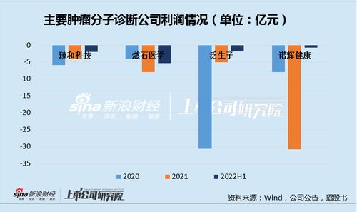 臻和科技IPO之路 三年虧損、同質化競爭與高企銷售費用下的生存挑戰