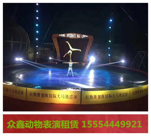 閬中市附近哪有馬戲團(tuán)表演出租1萌寵展覽租賃
