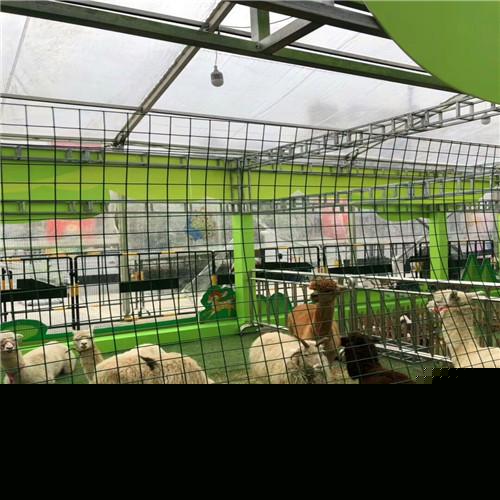 德州本地有馬戲團表演出租的真誠為您服務