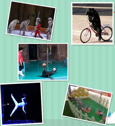 出租馬戲團(tuán)表演陽(yáng)江