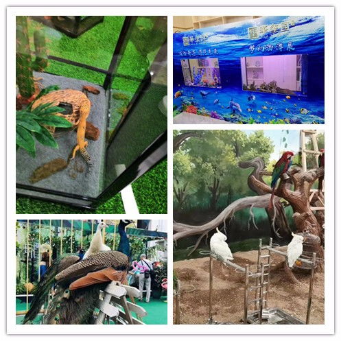 六盤水市鸚鵡表演出租親子互動(dòng)