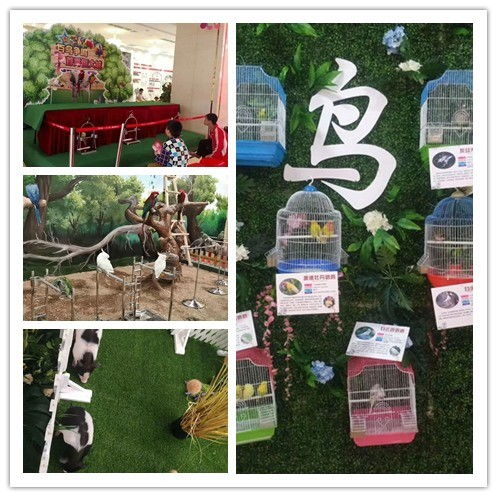 揭西縣哪里有鸚鵡表演出租