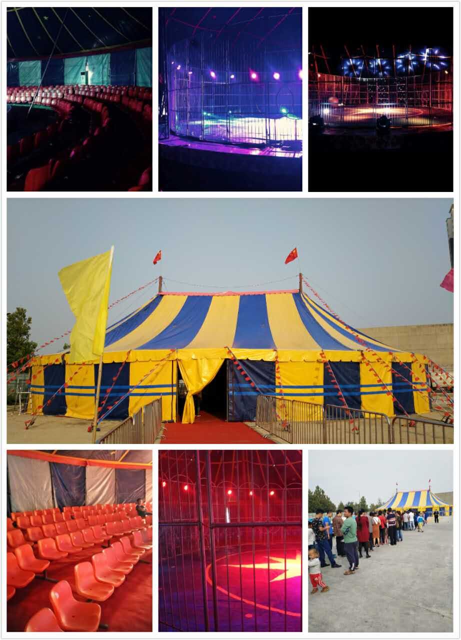 專業馬戲團表演團隊出租大型皇家馬戲團整套出租_商務服務欄.