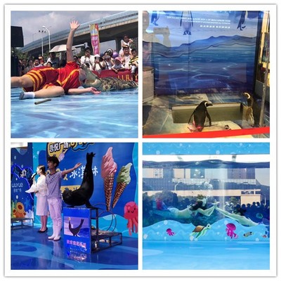 興寧當地海獅表演出租