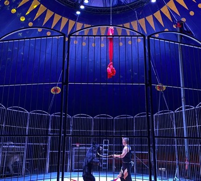 皇家馬戲團表演租賃專業馬戲團表演的秘密揭秘