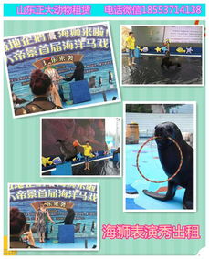 鄧州所有動物種類展覽暖場