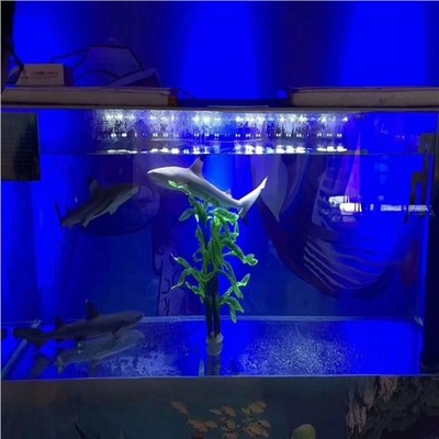 玉林大型馬戲團表演出租出租專業(yè)租賃服務商