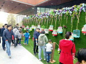 哪里有百鳥表演展覽百鳥展出租鸚鵡表演出租蝴蝶展互動