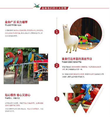 動物表演租賃公司,創意馬戲團表演