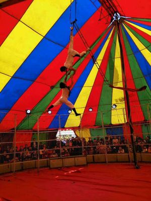 山東哪里有租賃馬戲團(tuán)雜技表演的