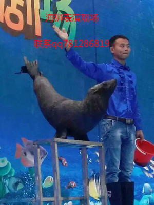 中山馬戲團租賃_供應信息_金農網