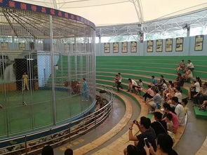 歷時24年的馬戲表演叫停遇阻 動物園 將依法勸退