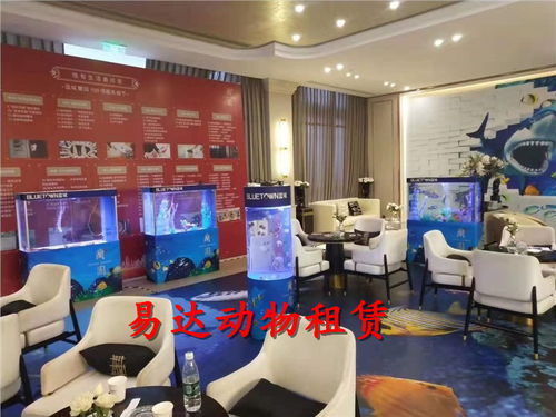 馬戲團表演出租租賃馬戲團大飛輪表演出租租賃價格優(yōu)惠.云浮