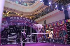 深圳哪里有馬戲團演出馬戲團表演廠家|供應商|公司_一呼百應移動站