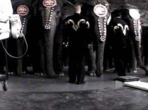 曾經是一家人娛樂消遣的好去處,現在卻被逐漸排斥 ... 它們沒變,我們變了 ...