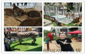 河南泌陽租賃馬戲團表演價格有沒有