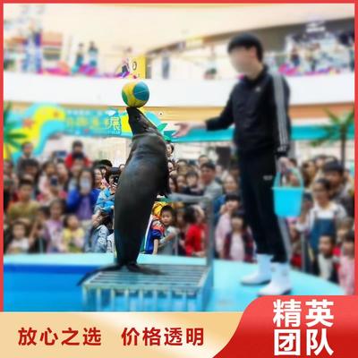 寧德市霞浦縣轄區(qū)內(nèi)雜耍演出與動物展覽服務介紹