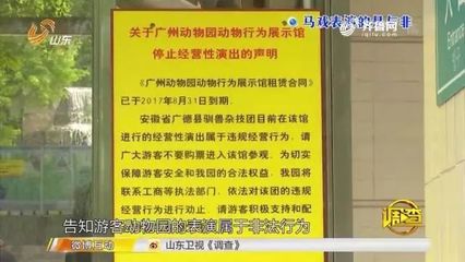 馬戲團老虎傷人事件引發(fā)行業(yè)存廢爭議