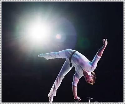 邵陽馬戲團2025年度馬術(shù)表演合作與租賃方案